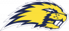 Biberach Beavers (TG Biberach 1847 e. V. - Abt. American Football & Cheerleading)